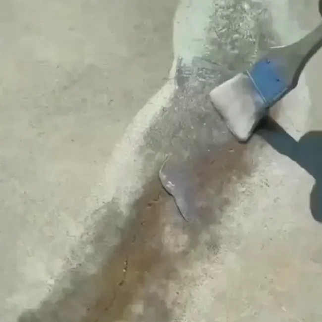 aqua seal pro